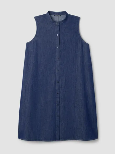 Denim Band Collar Dress